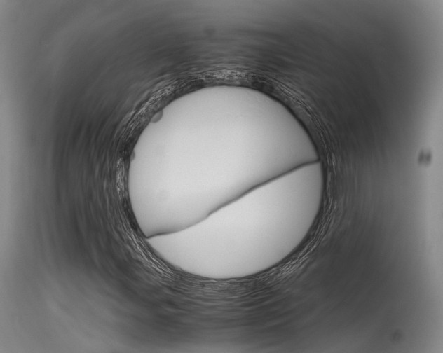 X0000115721107200911121056