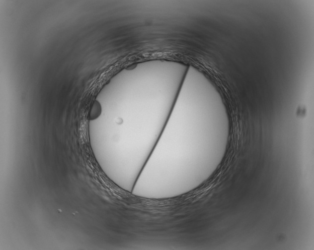 X0000115721109200911121056