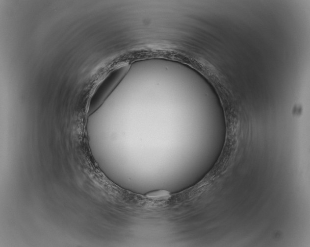 X0000115721110200911121056