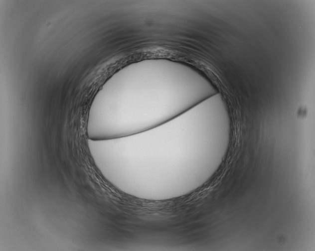 X0000115721111200911121056
