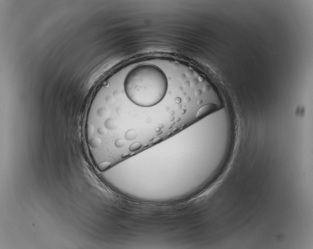 X0000115721113200911121056
