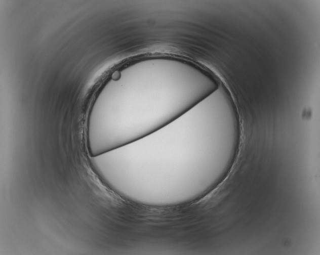 X0000115721115200911121056
