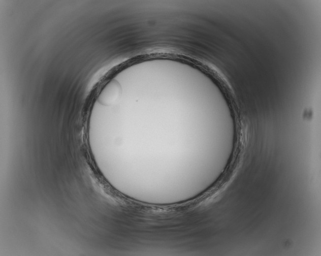 X0000115721117200911121056