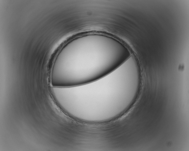 X0000115721118200911121056