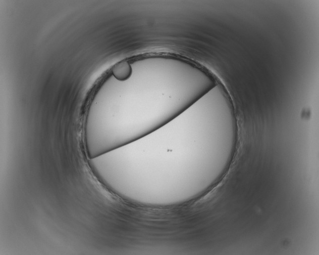 X0000115721119200911121056