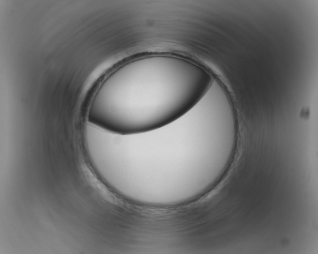 X0000115721122200911121056