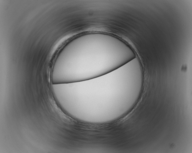 X0000115721123200911121056