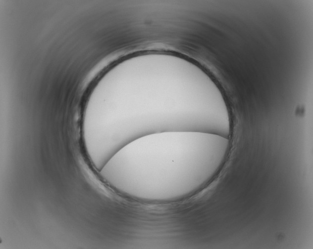 X0000115721126200911121056