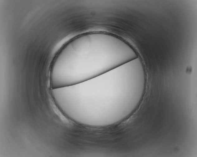 X0000115721127200911121056