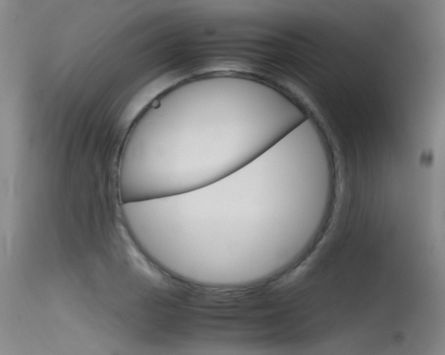 X0000115721129200911121056