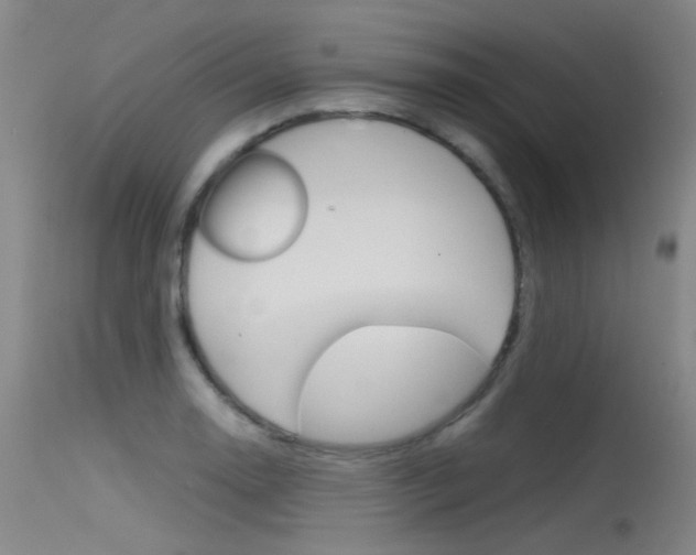 X0000115721130200911121056