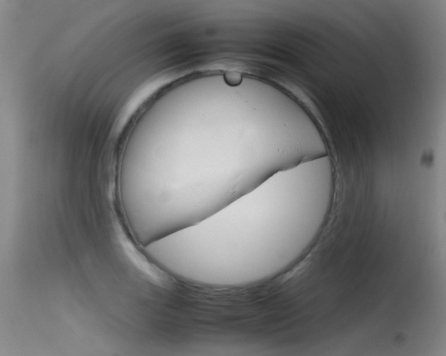 X0000115721131200911121056