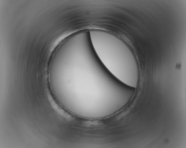 X0000115721133200911121056