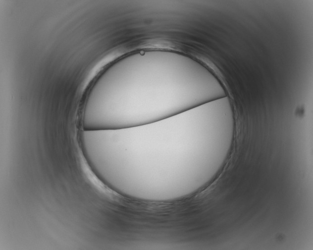 X0000115721139200911121057