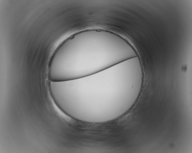 X0000115721143200911121057