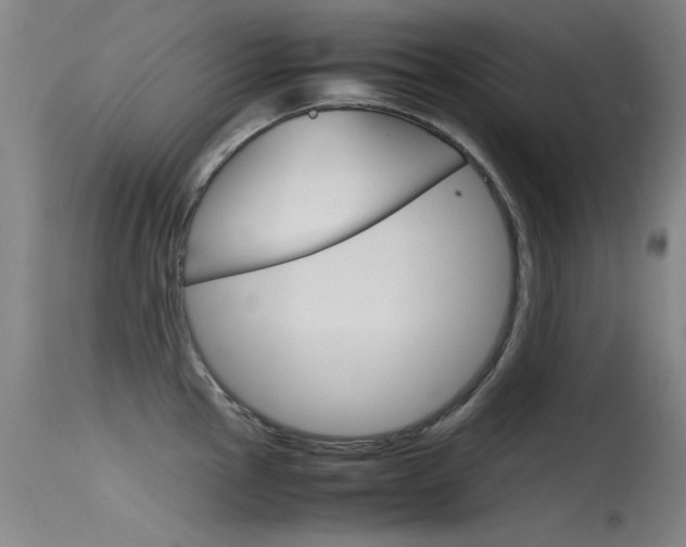 X0000115721145200911121057