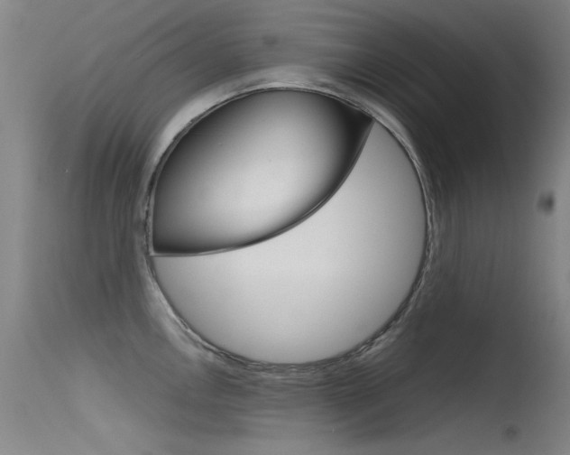 X0000115721146200911121057