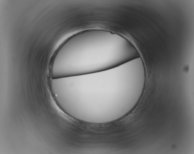X0000115721147200911121057