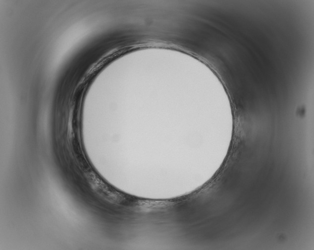 X0000115721150200911121057