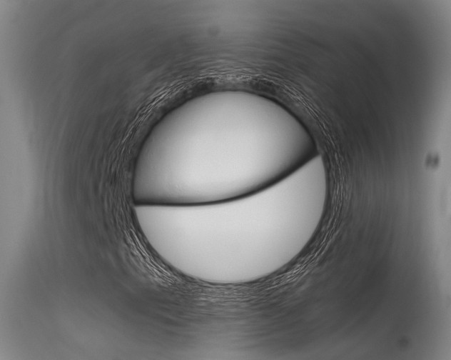 X0000115721153200911121056