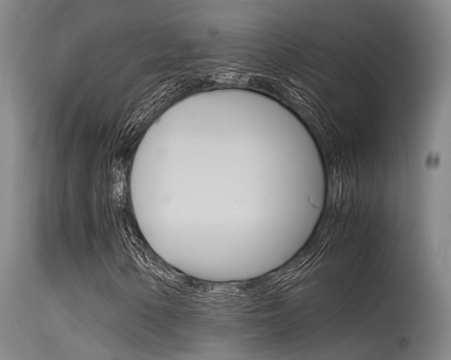 X0000115721154200911121056