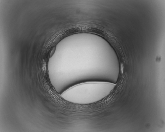 X0000115721155200911121056