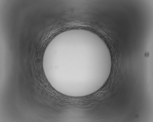 X0000115721157200911121056