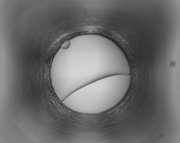X0000115721158200911121056