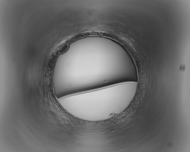 X0000115721159200911121056