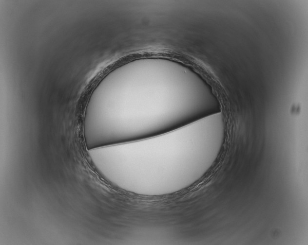 X0000115721160200911121056