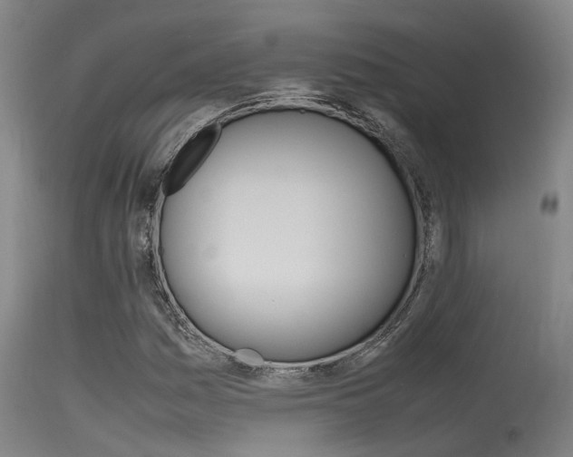 X0000115721161200911121056