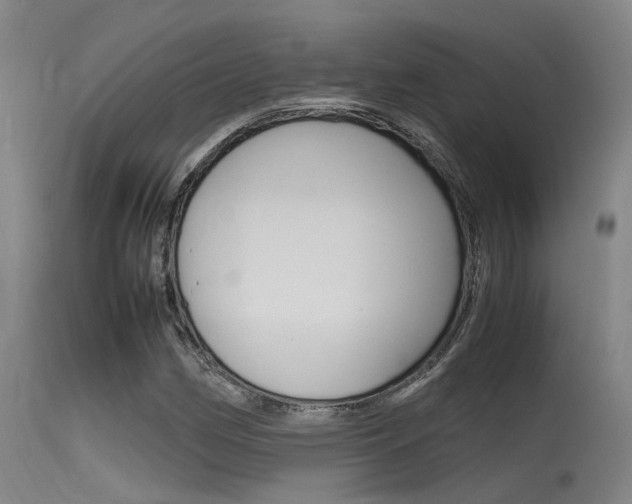 X0000115721162200911121056