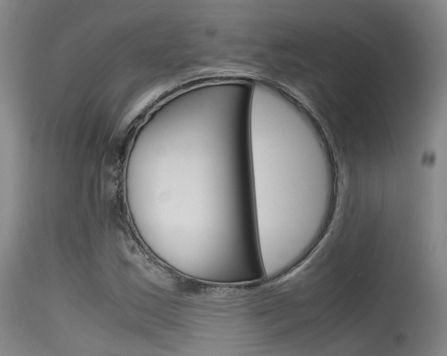 X0000115721163200911121056