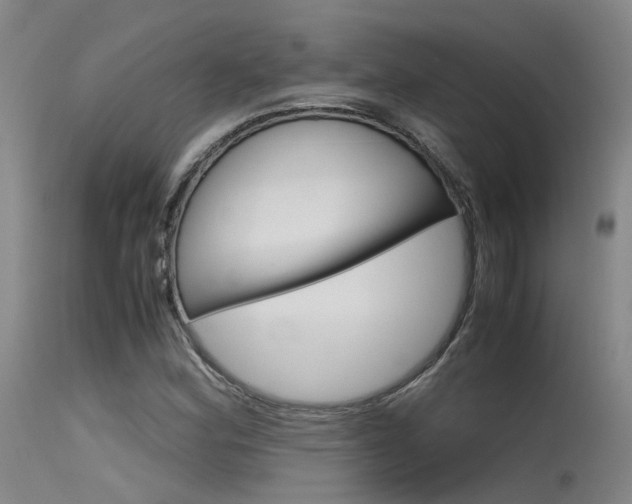 X0000115721164200911121056