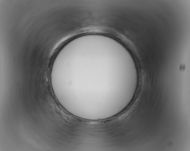 X0000115721166200911121056