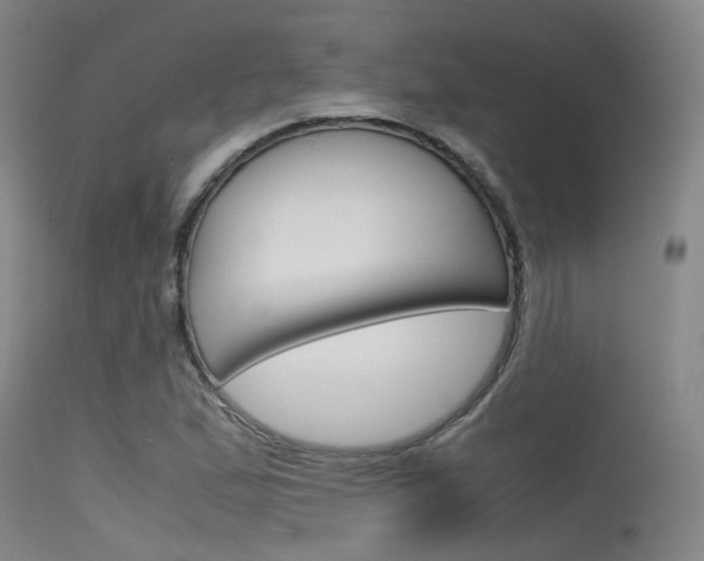 X0000115721167200911121056