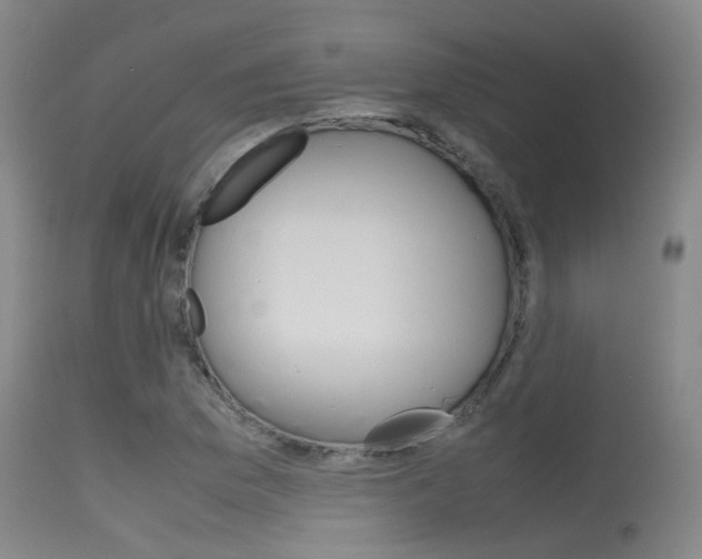 X0000115721169200911121056