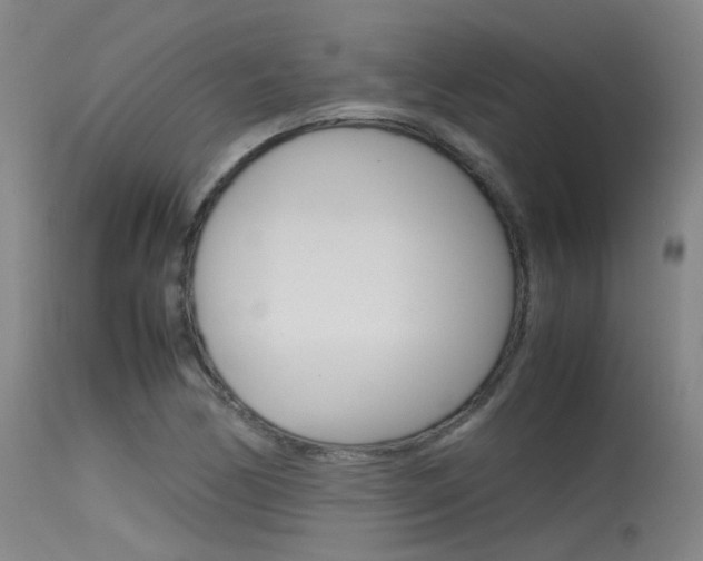 X0000115721170200911121056