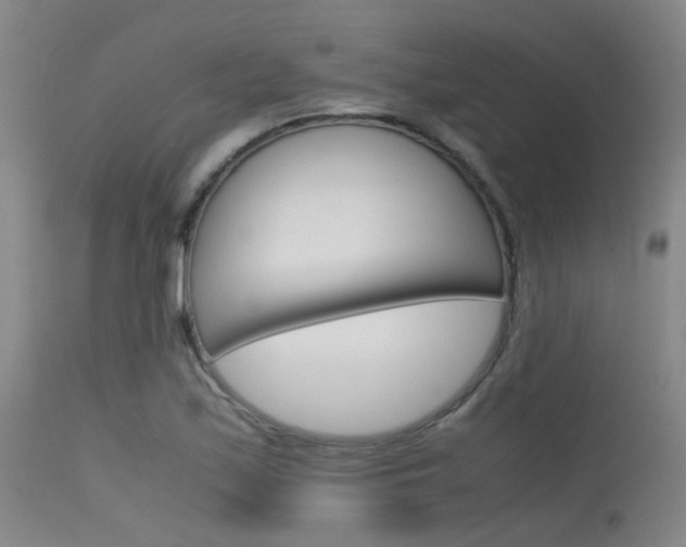 X0000115721171200911121056