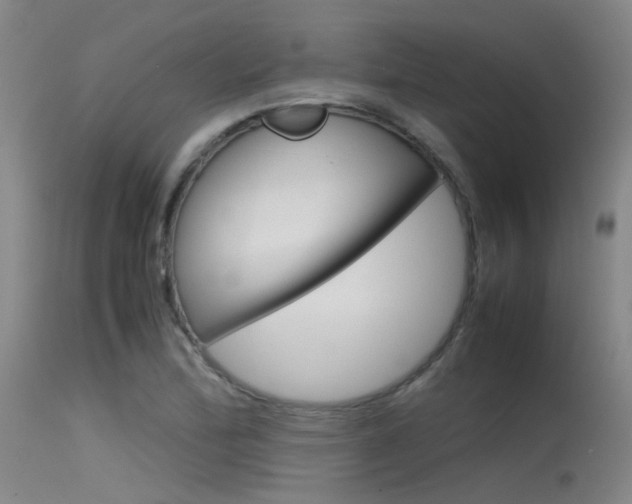 X0000115721172200911121056