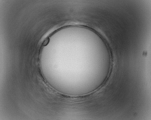X0000115721173200911121056
