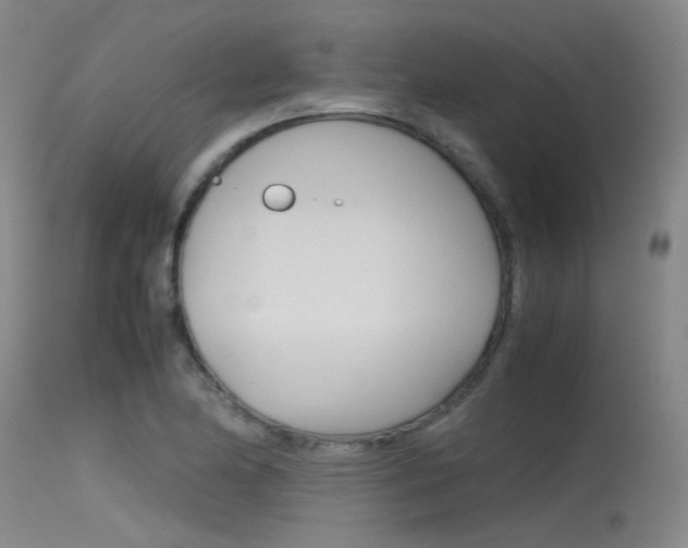 X0000115721174200911121056