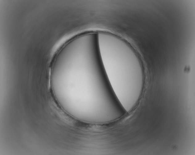 X0000115721175200911121056