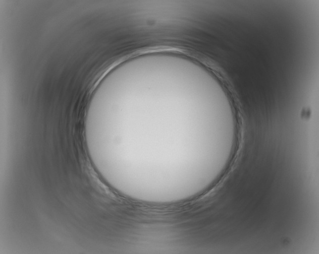 X0000115721177200911121056