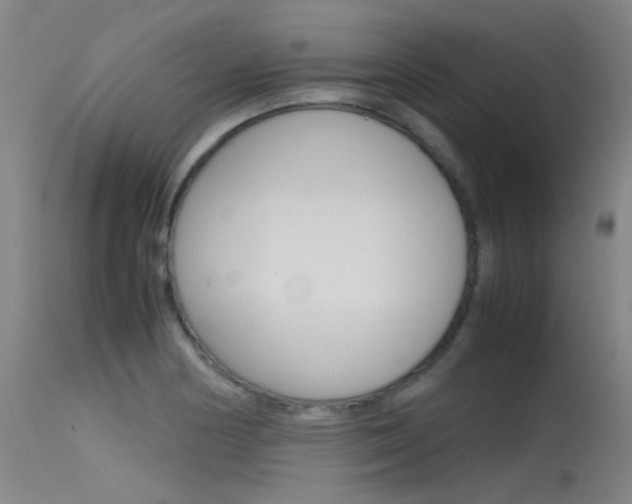 X0000115721178200911121056