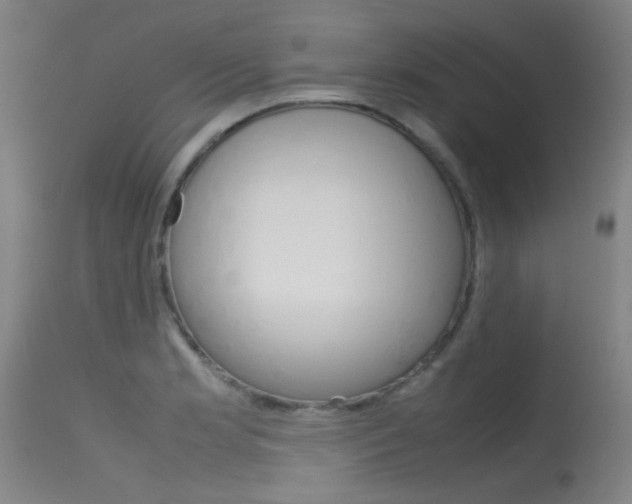 X0000115721181200911121056