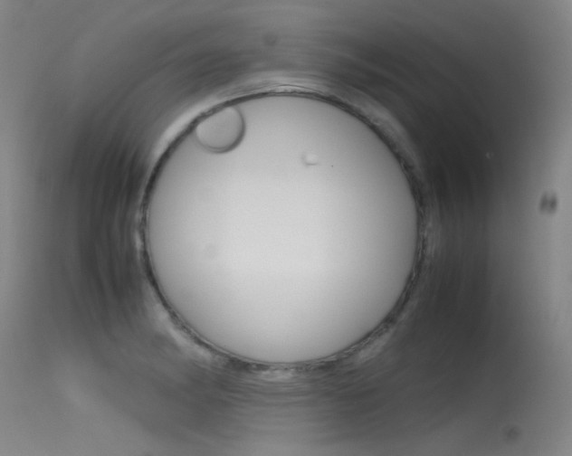 X0000115721182200911121056