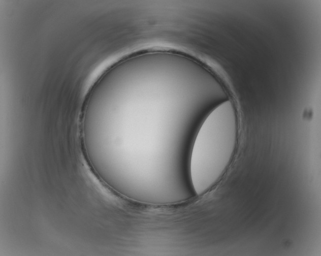 X0000115721183200911121056