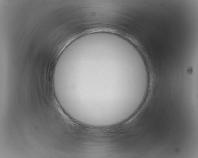 X0000115721185200911121055