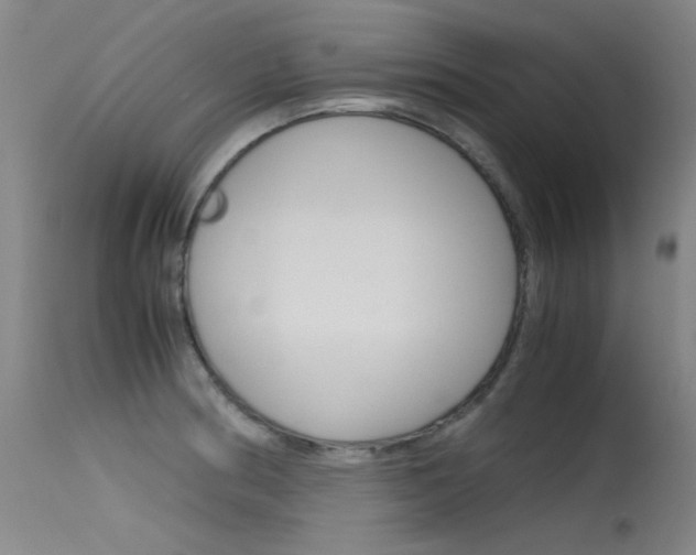 X0000115721186200911121055